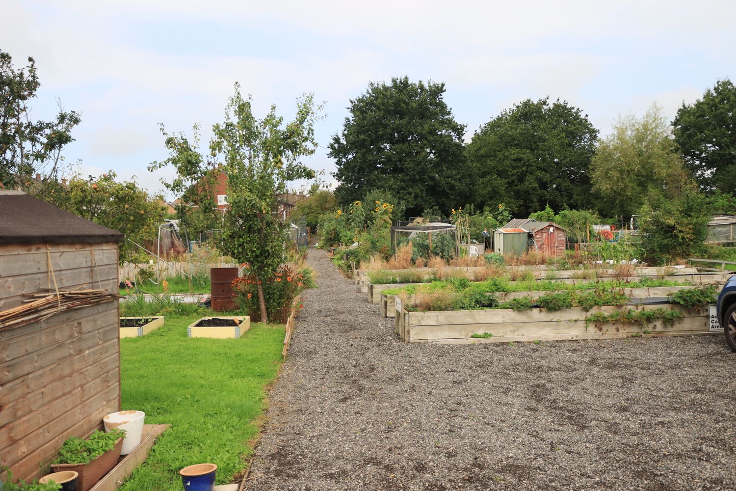 A community garden with raised beds in England